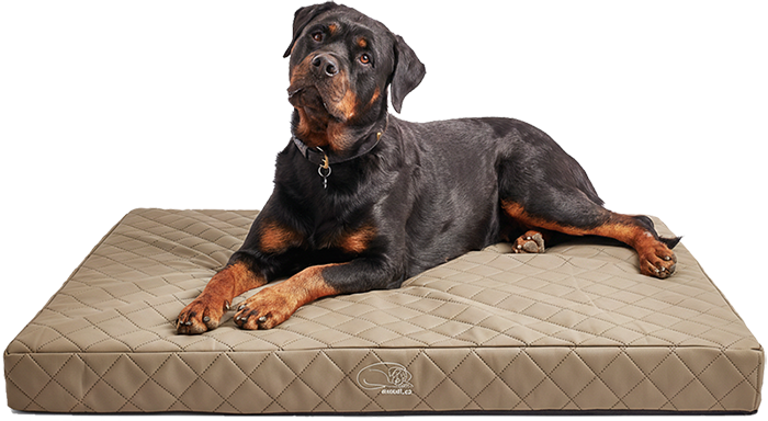 Gret1 upr barva web pgn